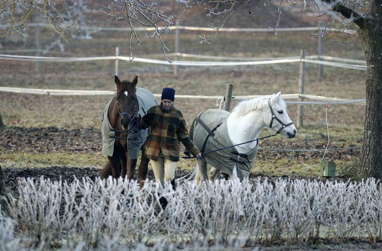Pferdehaltung im Winter