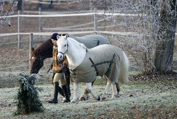 Pferdepflege im Winter