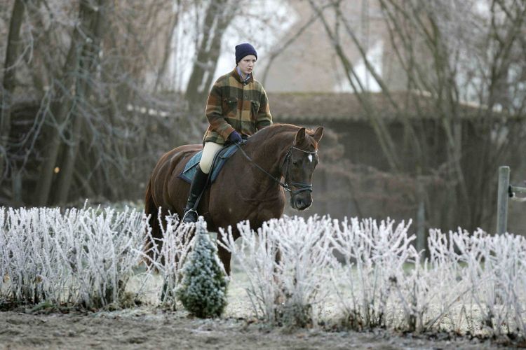 Reiten im winter