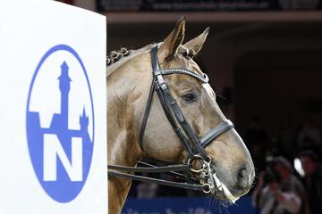 m-10-65-d0457.Siegerpferd Nuernberger Burgpokal 2010-Meyer z Strohen+Rassolini.jpg