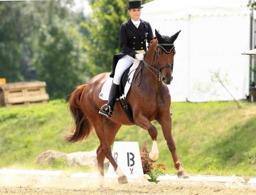 m-08-41-d103.kl.Michalke+Queeny.GER.jpg