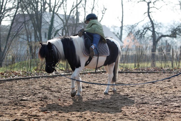 m-2011-03-22-d093.Kinderreiten.jpg