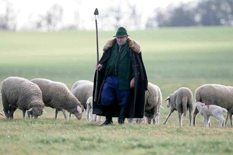 Schaefer, Hirte,Landleben,Ostern