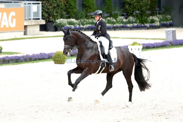 ps-m-2025-07-05-d4285-CHIO-Isabell Werth-GER-Wendy de Fontaine - DWB