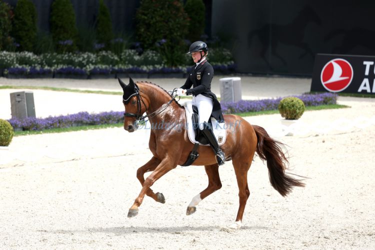 ps-m-2025-07-05-d4154-CHIO-Katharina Hemmer-GER-Denoix PCH - OLDBG