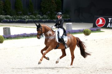 ps-m-2025-07-05-d4154-CHIO-Katharina Hemmer-GER-Denoix PCH - OLDBG