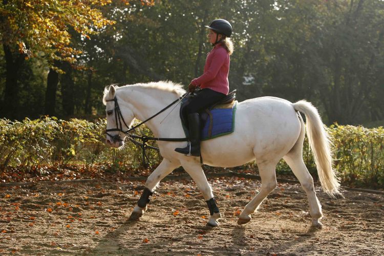 r-07-10-11-d115.therap.Reiten