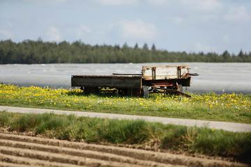 m-2017-05-23-d0029-Bilder Homepage Gemeinde-um Schnellmannskreuth