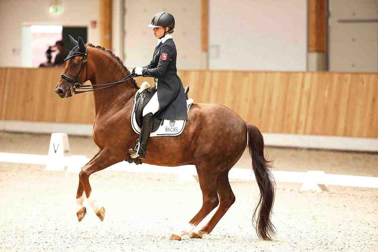 m-16-26-0005-Jil-Marielle Becks-GER-Damon's Satelite-WESTF-Pirouette