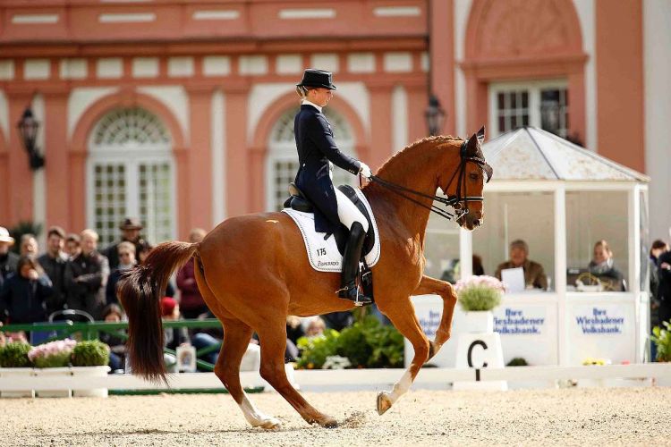 m-16-09-d0830-Fabienne Luetkemeier-GER-Qui Vincit Dynamis-Kopie
