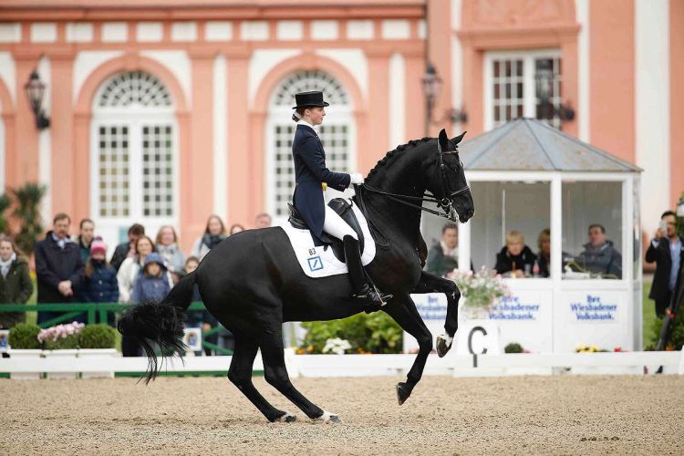 m-16-09-d2899-Sanneke Rothenberger-GER-Deveraux OLD-OLDBG
