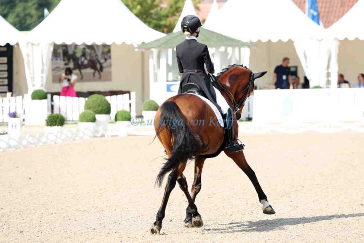 ps-m-2025-06-13-d0114-Balve-DM-U25-Selina Söder-GER-Vita di Lusso-HANN