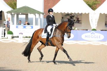 ps-m-2025-06-13-d0046-Balve-DM-U25-Anna Schölermann-GER-Springborgs Guardian-DWB